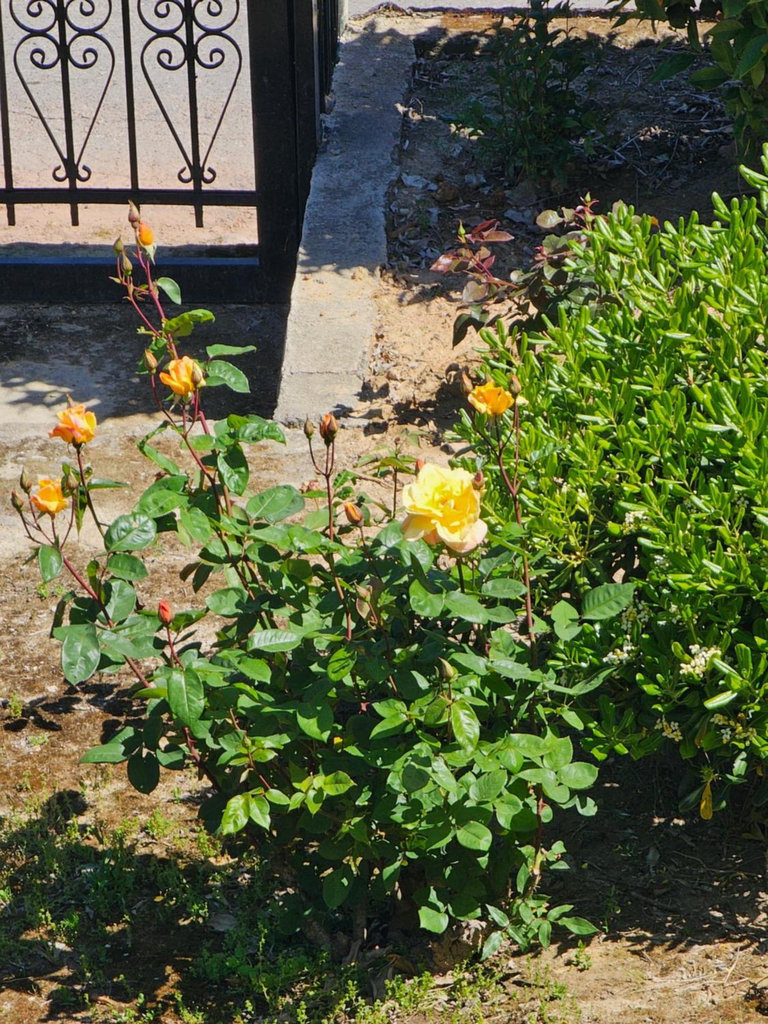 Country Side House Villa Koroni  Luaran gambar