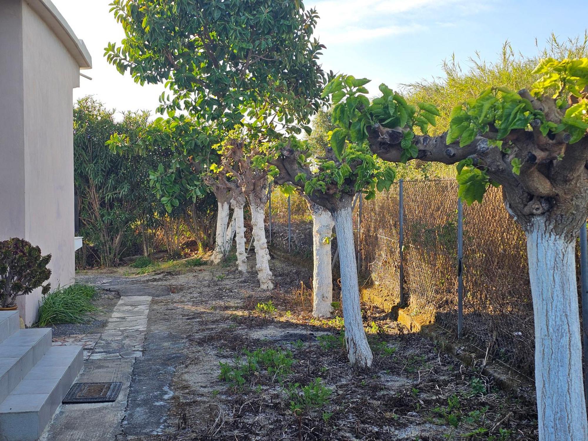 Country Side House Villa Koroni  Luaran gambar